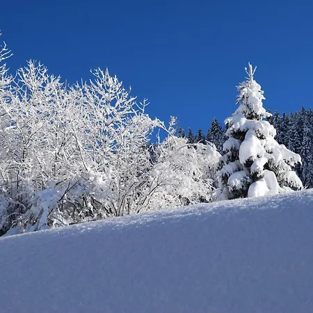 Apartment Brif Schruns